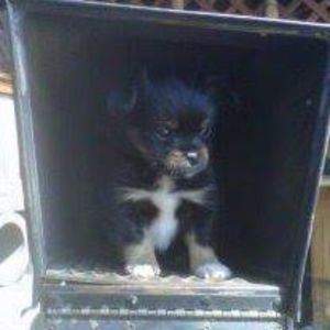 Meet your Posher, Linda